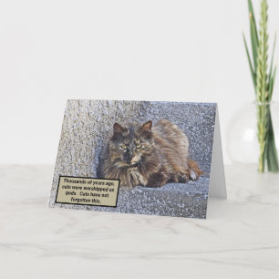 BIG FLUFFY CAT, SUPERIOR LOOK/CAT QUOTE CARD