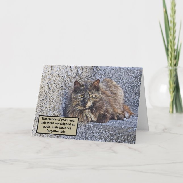 BIG FLUFFY CAT, SUPERIOR LOOK/CAT QUOTE CARD (Front)