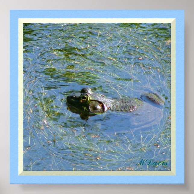 Big Frog Huge Poster (Front)