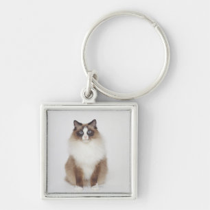 Big Furry Cat Key Ring