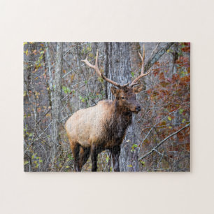 Big Game Hunter - Bull Elk - 11x14 inch Jigsaw Puzzle