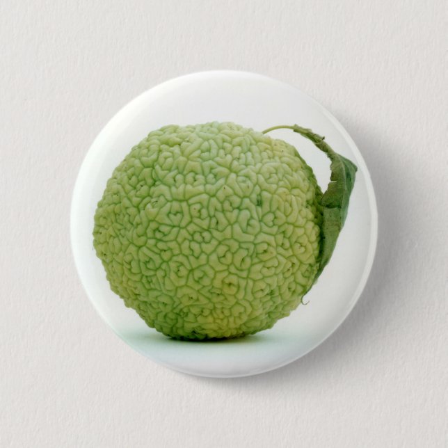 Big Green Hedgeapple 6 Cm Round Badge (Front)