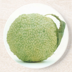 Big Green Hedgeapple Coaster