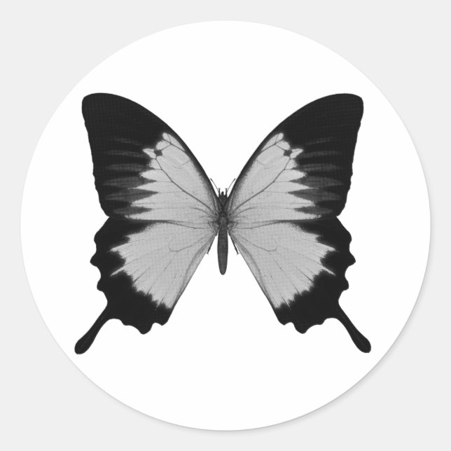 Big Grey & Black Butterfly Classic Round Sticker (Front)