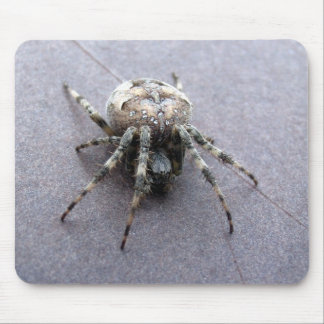 big grey spider mouse mat