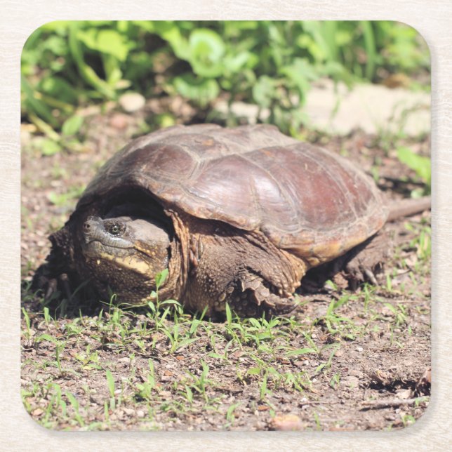 Big guy square paper coaster (Front)