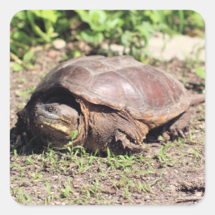 Big guy square sticker