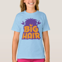 Big Hair Band Logo