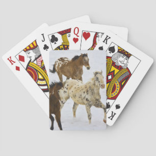 Big Horn Mountains, Horses running in the snow Playing Cards