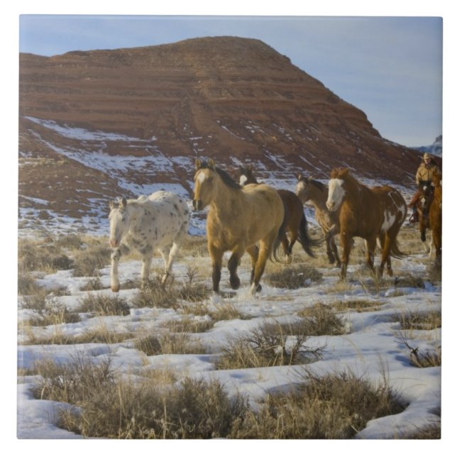 Big Horn Mountains, Horses Running in The Snow Tile (Front)