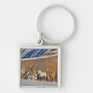 Big Horn Mountains, Horses running Key Ring