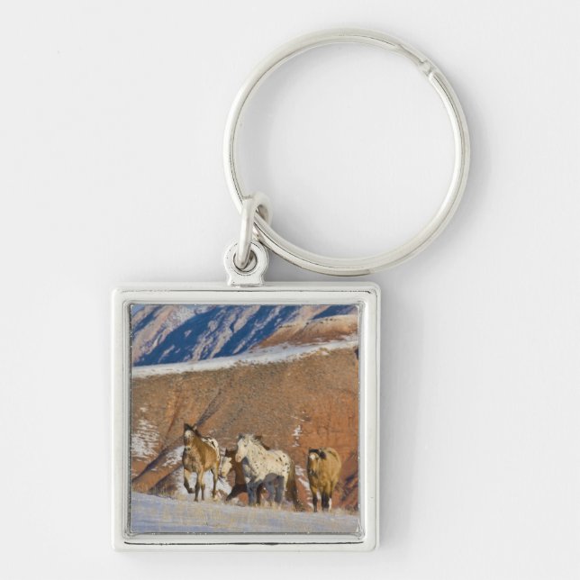 Big Horn Mountains, Horses running Key Ring (Front)