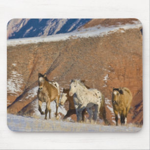 Big Horn Mountains, Horses running Mouse Mat