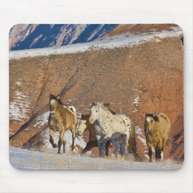 Big Horn Mountains, Horses running Mouse Mat (Front)