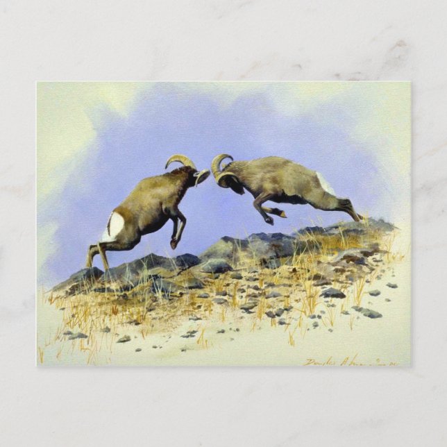 Big Horn Postcard (Front)