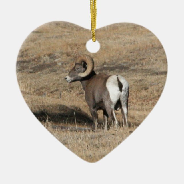 Big Horn Ram Ceramic Tree Decoration (Front)
