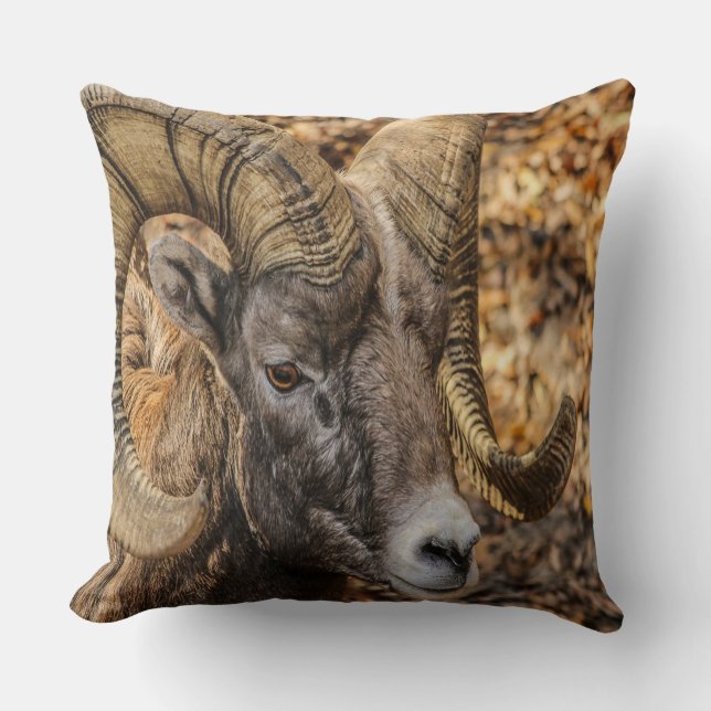 Big Horn Ram Cushion (Front)