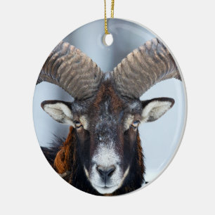 Big Horn Ram Sheep - Mouflon Ceramic Tree Decoration