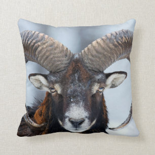 Big Horn Ram Sheep - Mouflon Cushion
