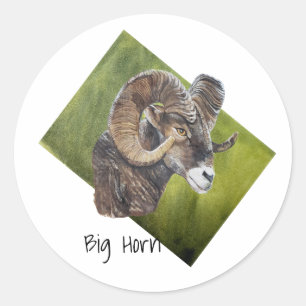 Big Horn Ram Sheep on Green Classic Round Sticker
