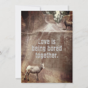 Big Horn Sheep Holiday Card