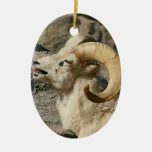 Big Horn Sheep Laughing Ceramic Tree Decoration