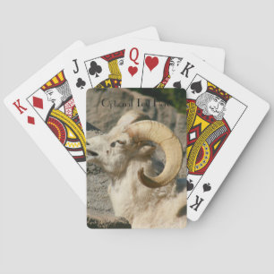 Big Horn Sheep Laughing Playing Cards