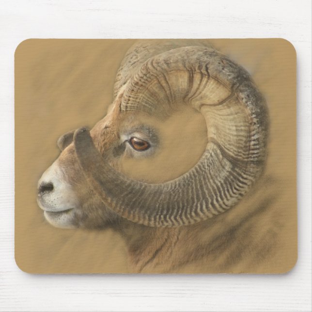 Big Horn Sheep Mouse Mat (Front)