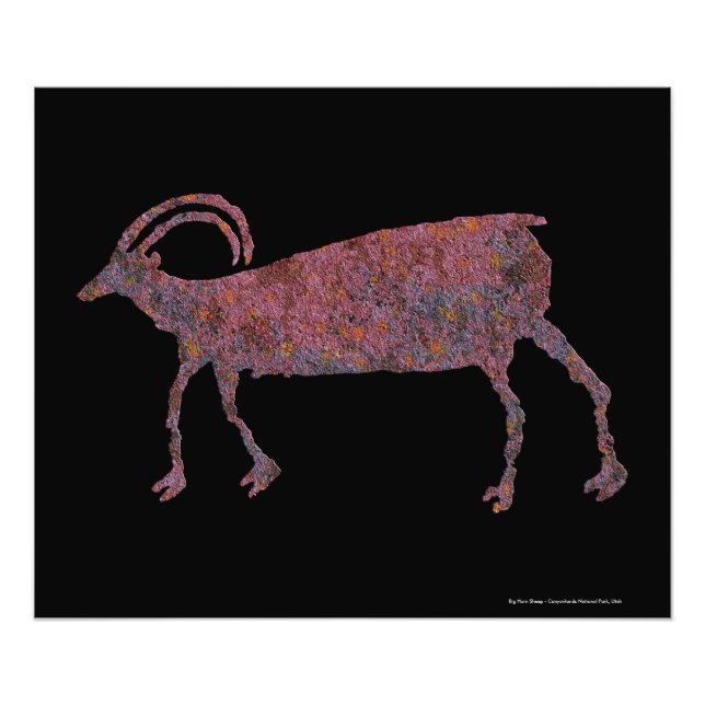 Big Horn Sheep Petroglyph Photo Print (Front)