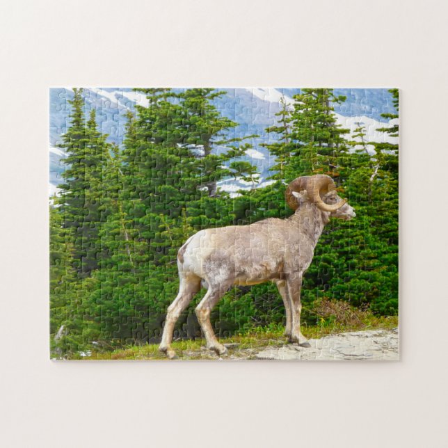 Big Horned Sheep Montana. Jigsaw Puzzle (Horizontal)