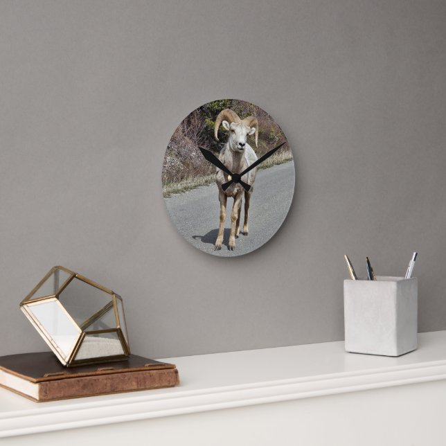 Big Horned Sheep Round Clock (Office)