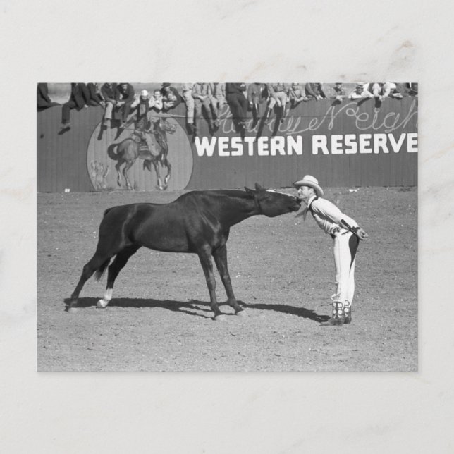 Big Horse Kiss, 1940 Postcard (Front)