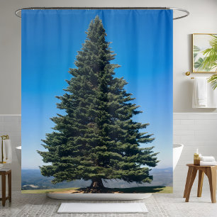 Big Huge Pine Tree Nature Lover Woodland Escape Shower Curtain