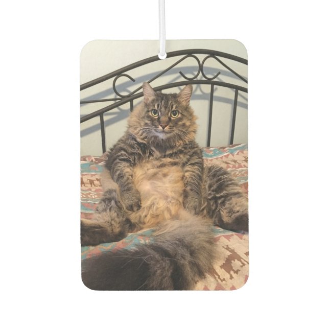 Big Huggable Cat Car Air Freshener (Front)