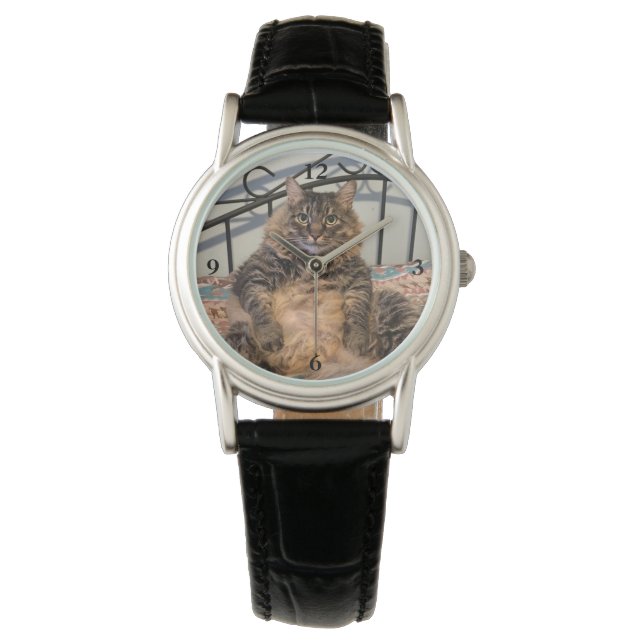 Big Huggable Cat Watch (Front)