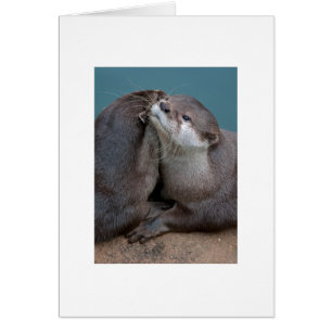 Big Hugs
