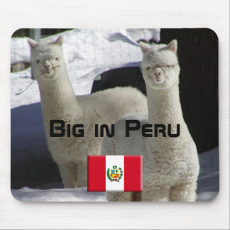 Big in Peru Mouse Mat