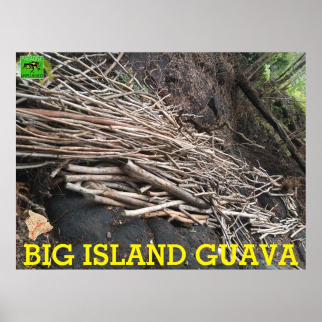 BIG ISLAND GUAVA POSTER (Front)