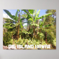 BIG ISLAND HAWAII BANANA TREES