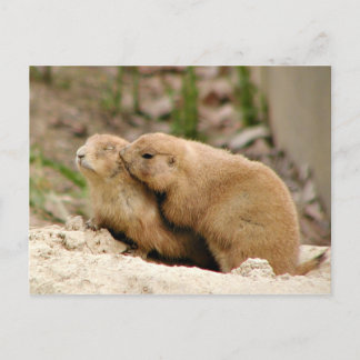 Big kiss postcard