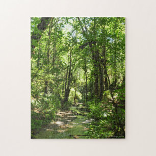 Big Leaf Maple Relaxation Puzzle