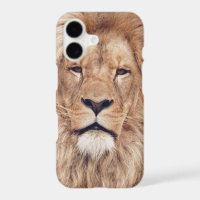 Big Lion Cat King of Africa