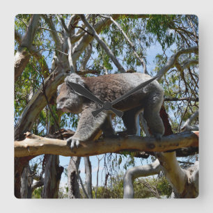 Big Male Australian Koala, Square Wall Clock