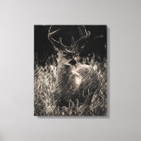 Big Meadows Buck Stretched Canvas Print