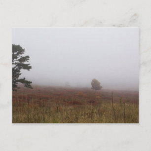 Big Meadows, Shenandoah National Park, Virginia Postcard
