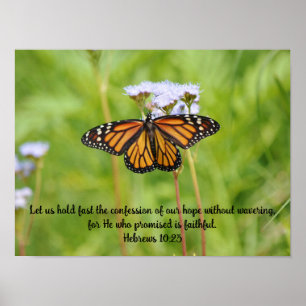 Big Monarch Butterfly on Wildflowers Poster Art