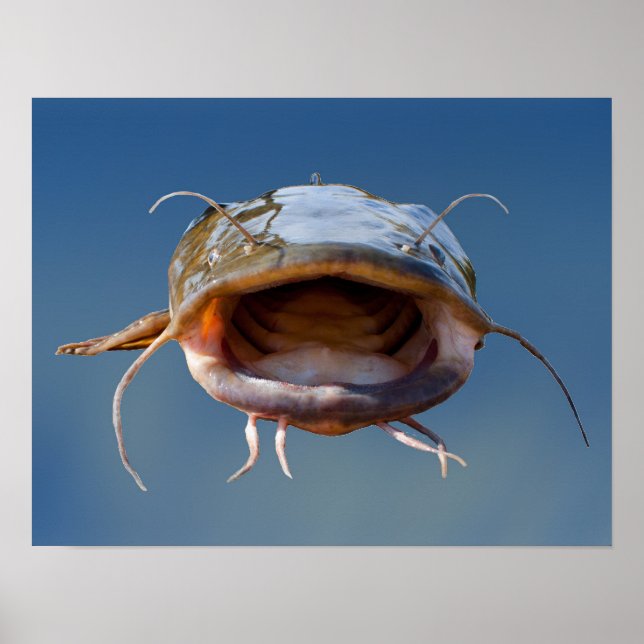 Big Mouth Fishing Poster (Front)