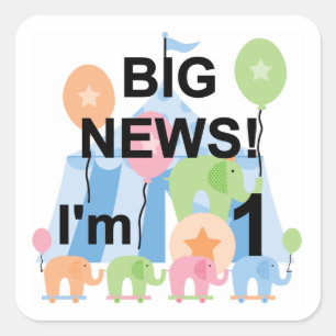 Big News Circus 1st Birthday T-shirts and Gifts Square Sticker
