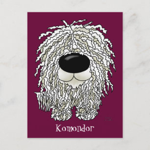 Big Nose Komondor Postcard