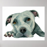 Big Ol' Head  | Pit Bull Dog Watercolor Painting